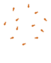 Jardin Catering - Maca de Castro